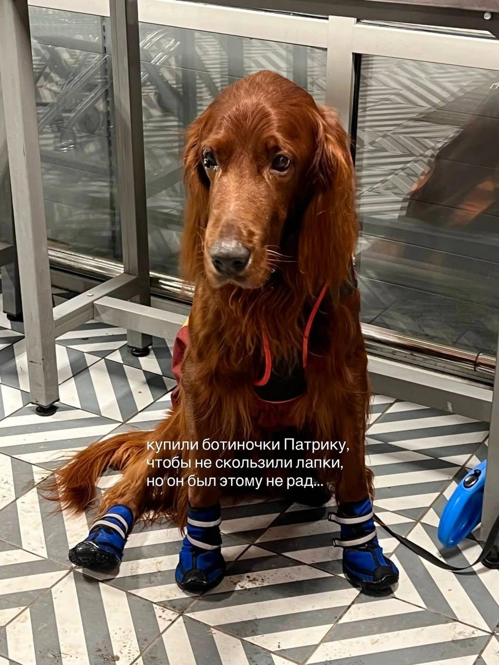 Источник: klavacoca / Instagram (экстремистская организация, деятельность запрещена на территории РФ)