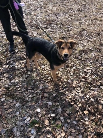 Источник: Юлия Иванова