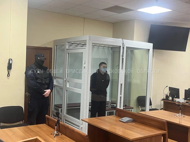Отравителя могут посадит пожизненно  | Источник: Суды общей юрисдикции Московской области / Telegram