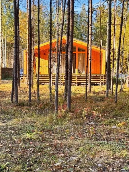 Источник: Авито / Avito.ru