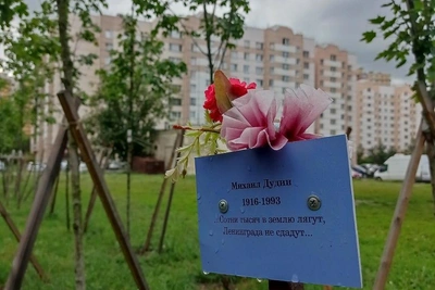 «ТЭК СПб» ответил на критику вырубки аллеи в Шушарах