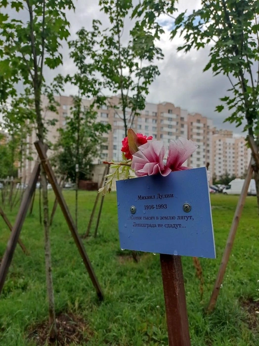 Такой была шушарская аллея памяти ленинградских поэтов и писателей, защищавших город в блокаду во время Великой Отечественной войны | Источник: Шушары
