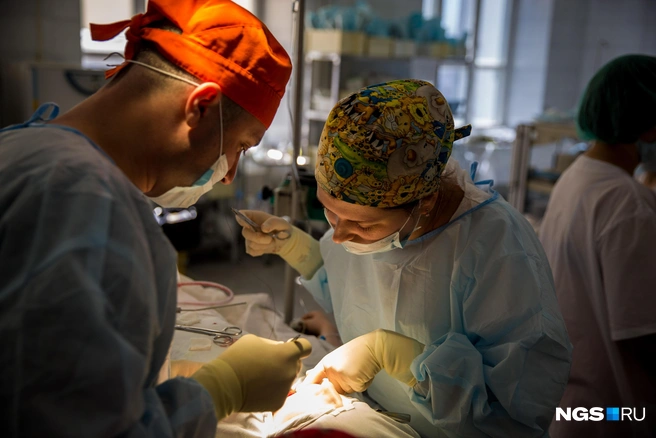 Длинный путь врача может превратиться в непреодолимую полосу препятствий | Источник: Александр Ощепков / NGS.RU