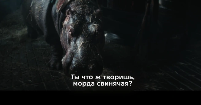 По сюжету фильма бегемотиха разговаривает | Источник: кадр из фильма «Красавица» (12+), реж. Антон Богданов, студии «Пандора», «Проспект Мира», 2026 год