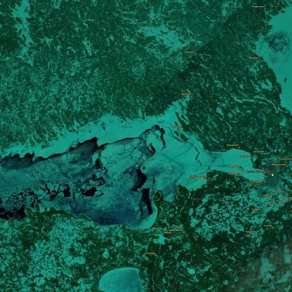 Посмотрите, как Финский залив покрыт льдом. В последний раз так было 10 лет назад | Источник: Пресс-служба Института космических исследований Российской академии наук