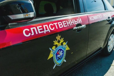 ОПГ легализовала больше 712 миллионов рублей на Камчатке