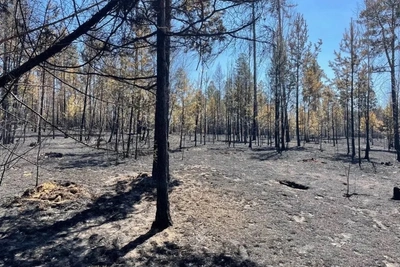 В Забайкалье введен особый противопожарный режим