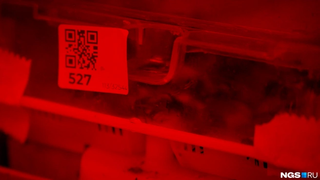На каждом боксе&nbsp;— QR-код, по которому можно узнать подробную историю живущей в нем семьи | Источник: Антон Дигаев / NGS.RU
