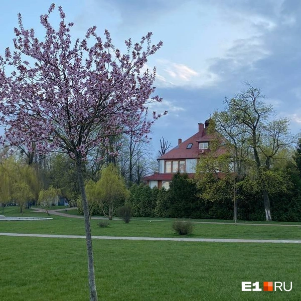Источник: Ирина Порозова / E1.RU