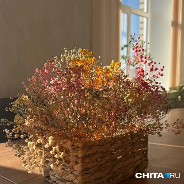 Источник: Анастасия Журавлева / CHITA.RU