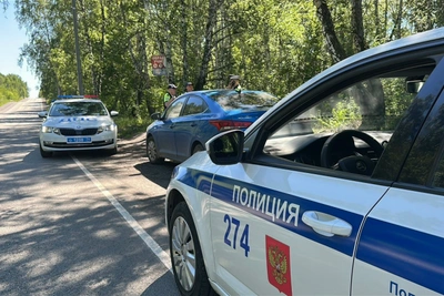Полиция Челябинска изъяла более 500 граммов синтетического наркотика