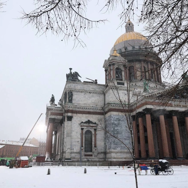 Источник: Сергей Михайличенко/«Фонтанка.ру»