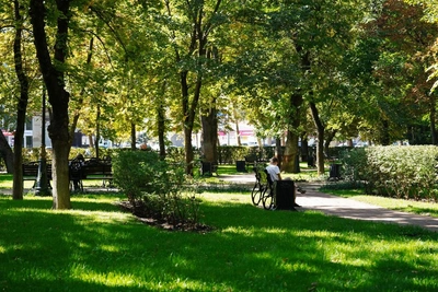 Краснодарцы голосуют за скверы для будущего благоустройства