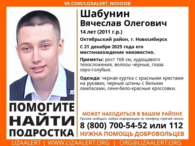Последний раз Вячеслава видели в Октябрьском районе города. | Источник: «Поисковый отряд ЛизаАлерт Новосибирской области» / vk.com
