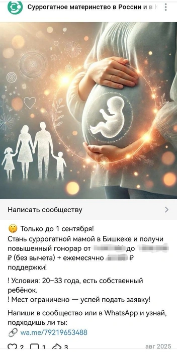 Источник: скриншот из тг-канала агентства «Вита»