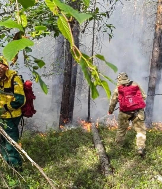 Больше половины пожаров не тушат | Источник: глава республики Айсен Николаев / T.me