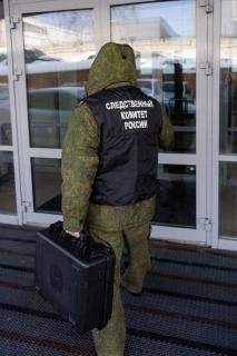 Источник: udm.sledcom.ru