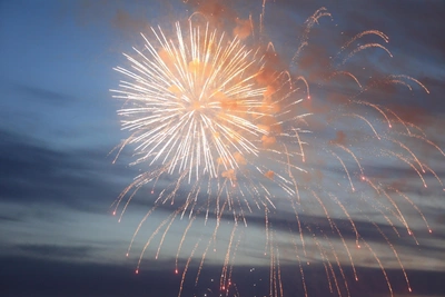 В Мурманске могут запретить салюты на праздники