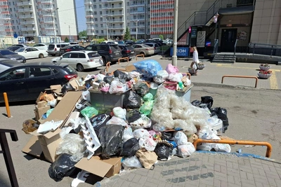 «Грызуны на правах соседей»: красноярцы показали грязные дворы
