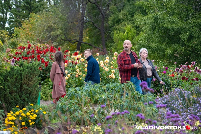 Источник: Елена Буйвол / VLADIVOSTOK1.RU