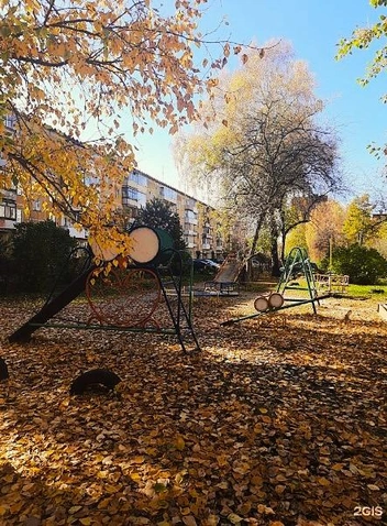 Еще прошлой осенью там были две совы. Такая еще сохранилась во дворе дома на Российской, 28 | Источник: 2ГИС