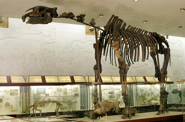 Источник: paleo.ru