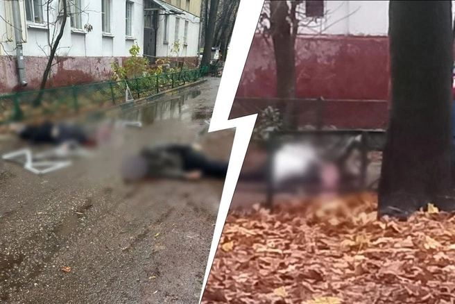 «Ярко-алые лужи, и разбросаны уголки». В Подмосковье двое рабочих рухнули с крыши жилого дома во время ремонтных работ | Источник: Антонина за Химки / T.me