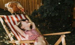 Самые смешные фото куриц за всю историю конкурсов Comedy Pet Photography Awards и Pet Photography Awards