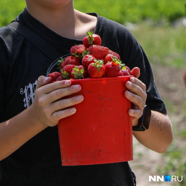 Источник: Наталья Бурухина / NN.RU
