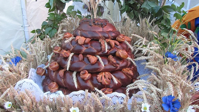 В Ульяновске состоится последняя в сезоне ярмарка | Источник: Дмитрий Сильнов / 173. RU