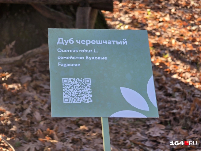 Такие таблички есть у экспонатов | Источник: Семен Коротов-Майбах / 164.RU