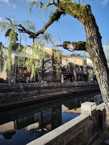 У Полины действительно сложилось ощущение, будто она побывала в одном из мультфильмов Миядзаки | Источник: Полина Захарова