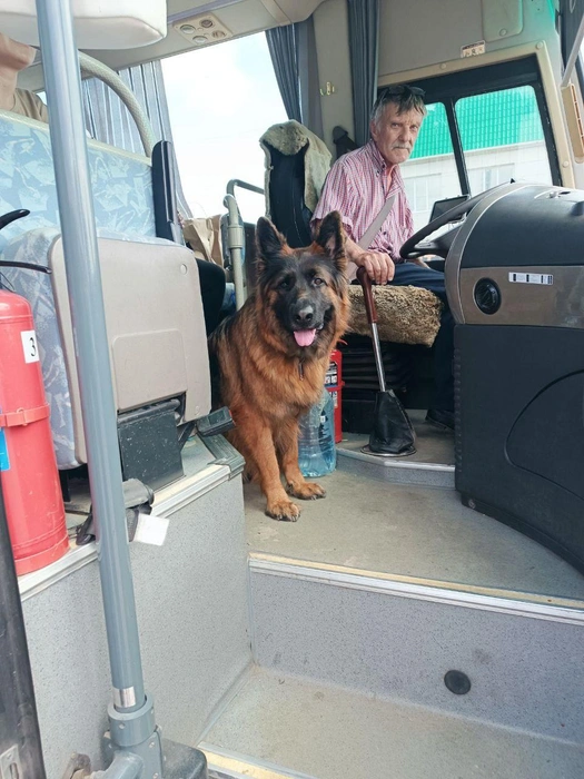 Афина&nbsp;— бывалая путешественница | Источник: архив Ирины Фоминцевой