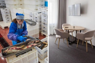 Бизнесы на продажу в Мурманской области: отель, завод, парк