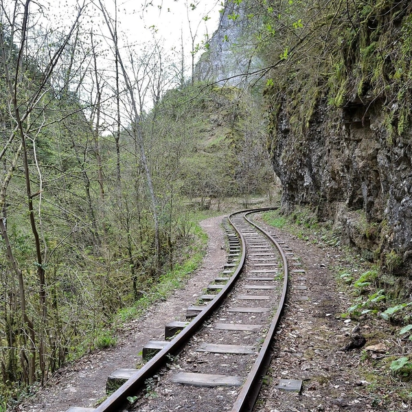 Источник: Alexander Novikov, CC BY-SA 4.0, via Wikimedia Commons