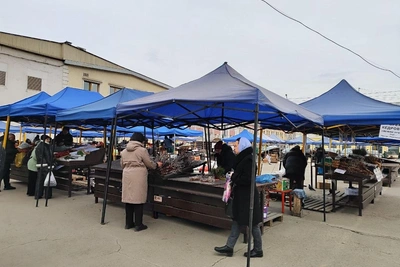 Сколько стоит верба на рынке Иркутска