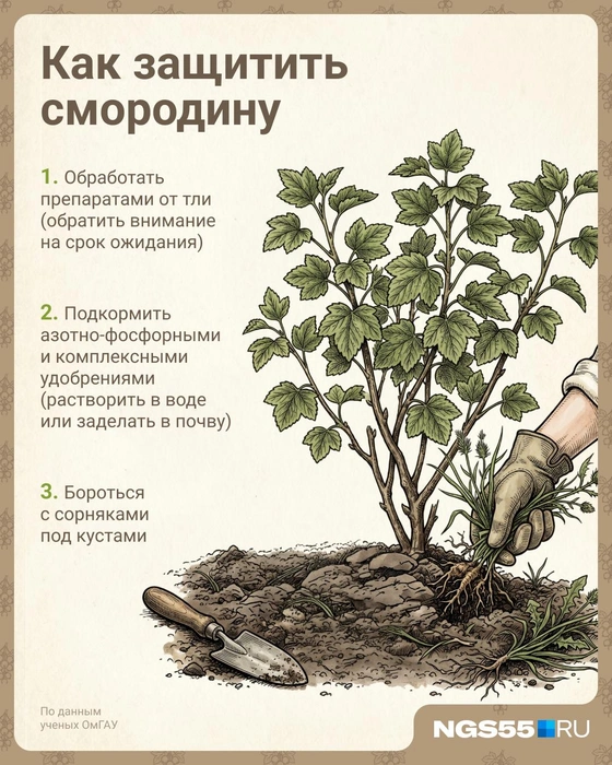 Источник: Евгения Бикунова / Городские медиа