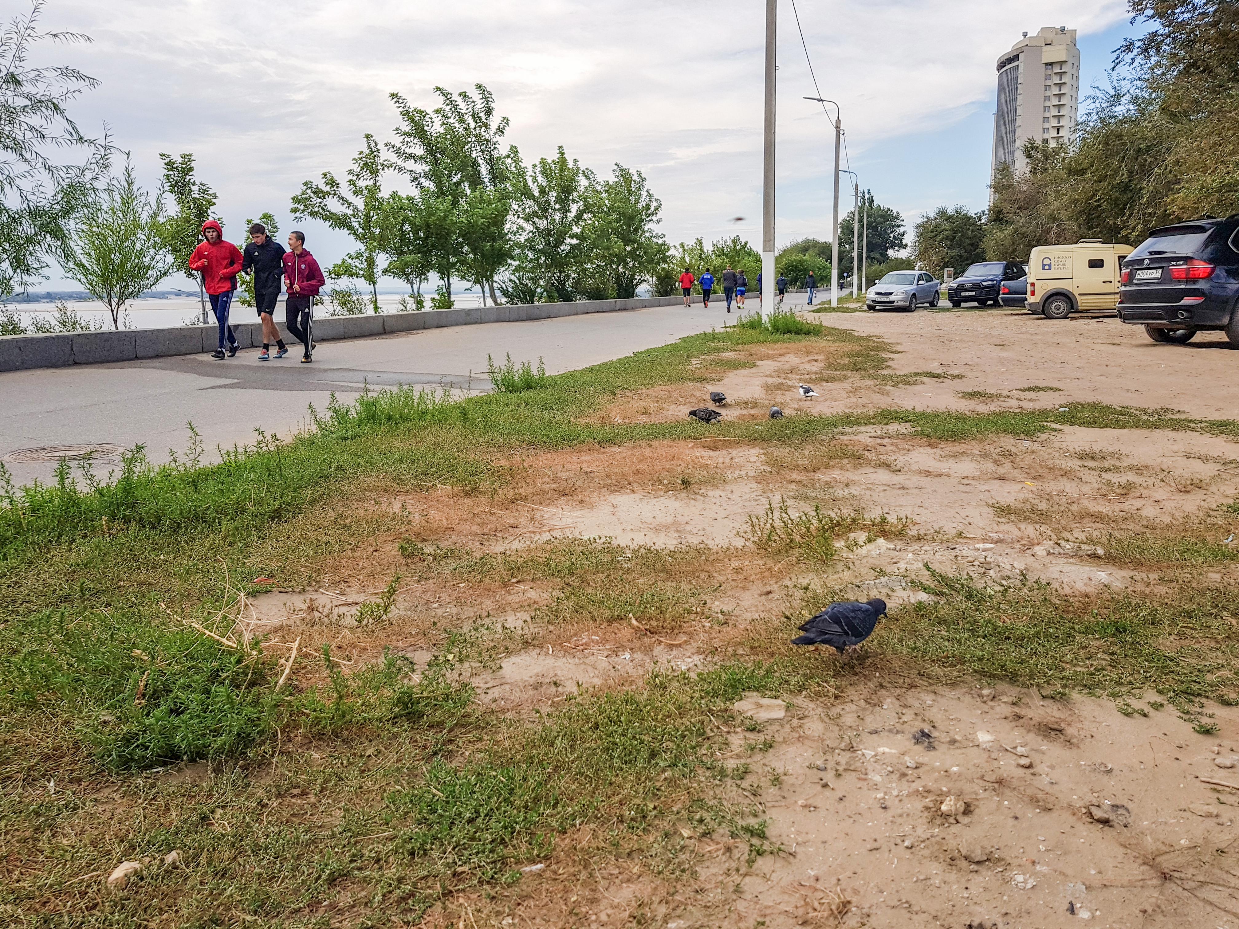 В Волгограде начали ломать верхнюю террасу Центральной набережной