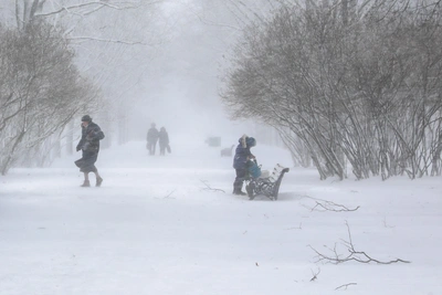 В Мурманской области ввели режим ЧС из-за погоды