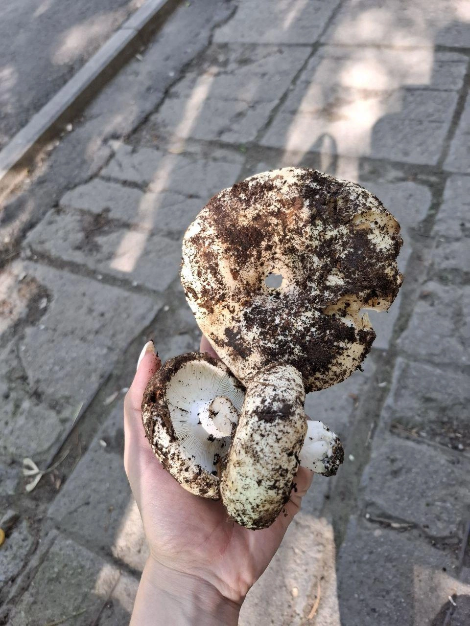 Источник: читательница E1.RU