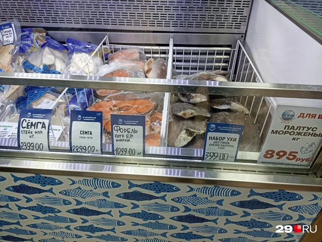 Источник: Иван Митюшёв / 29.RU