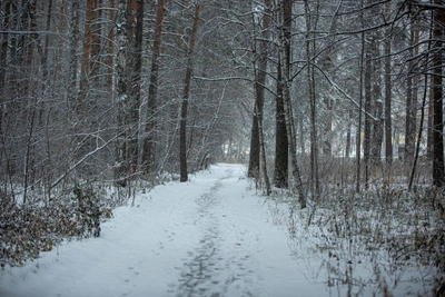 Missing Teen Found Dead in Khanty-Mansiysk