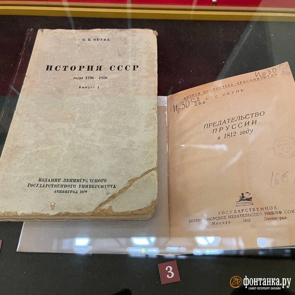 Источник: Дмитрий Грозный / «Фонтанка.ру»