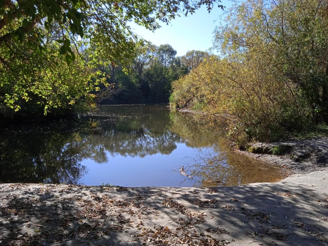 Река Свияга остается одним из любимых мест отдыха ульяновцев | Источник: Дмитрий Сильнов / 173. RU