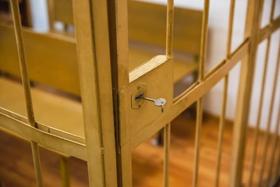 В Ярославле арестовали подозреваемого в педофилии