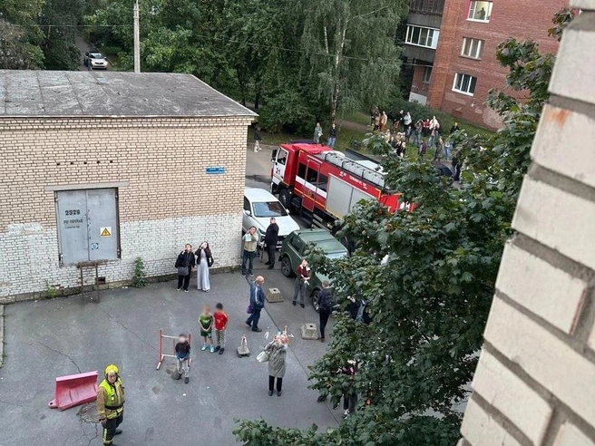 Женщина погибла при пожаре на Светлановском проспекте | Источник: Мегаполис | ДТП и ЧП | Санкт-Петербург | Питер