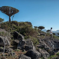 Закрытые границы и отмена рейсов: россияне и иностранцы ждут эвакуации с острова Сокотра из-за ЧП в Йемене