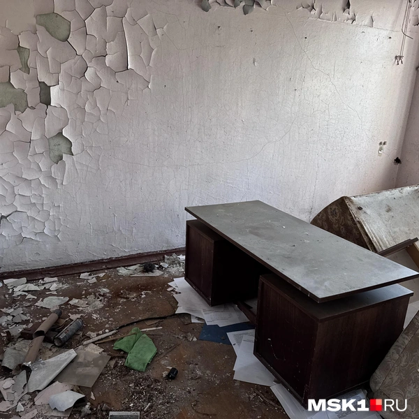 Источник: Алина Мельникова / MSK1.RU