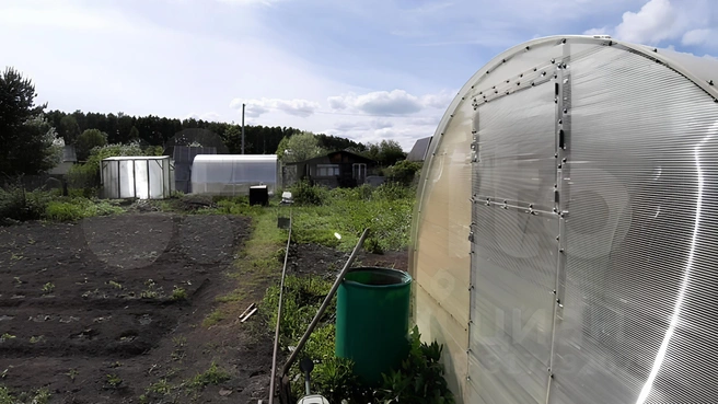 Для огородников есть несколько теплиц | Источник: Собственник / Cian.ru