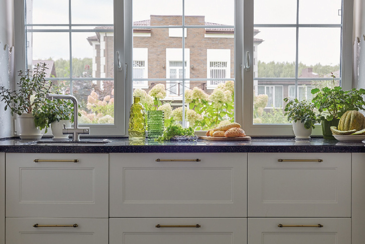 Джунгли у плиты: как обустроить зеленую зону с растениями на кухне